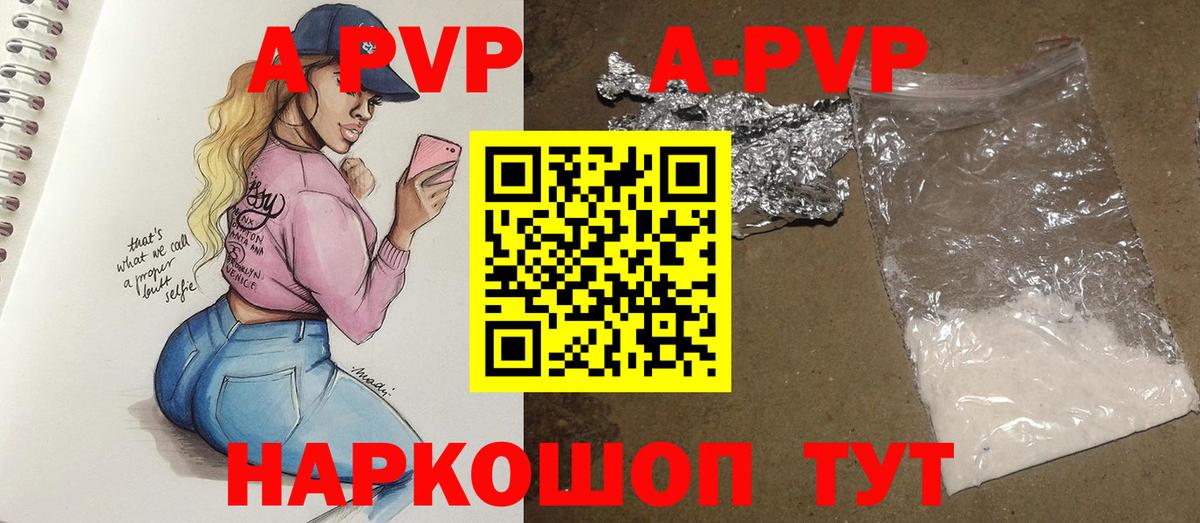 Alfa_PVP СК Новозыбков