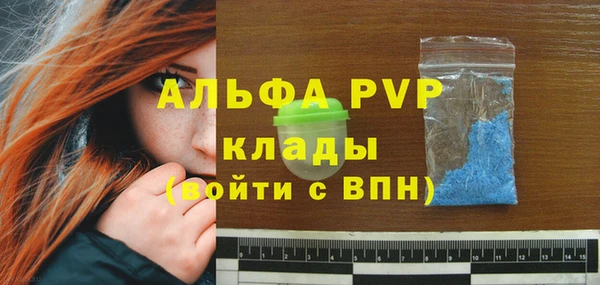 a pvp Новодвинск
