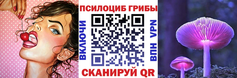 Псилоцибиновые грибы ЛСД где купить наркоту Новозыбков