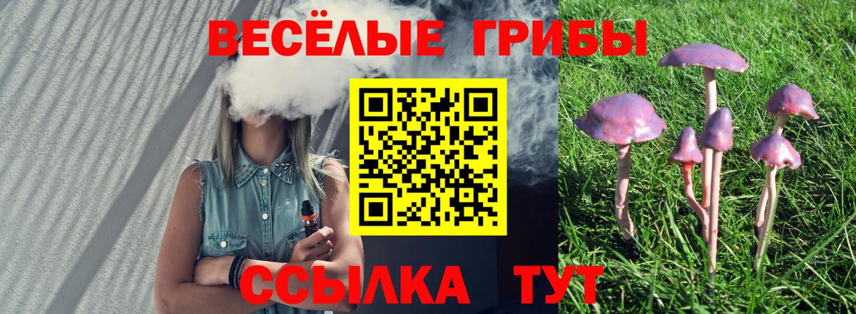 Псилоцибиновые грибы MAGIC MUSHROOMS Новозыбков